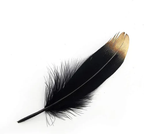 Vista 6 de Juego de plumas naturales de ganso, accesorios para ropa (100 unidades) de Sowder