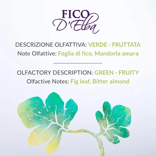 Vista 4 de Elba's Fig Home Fragancia Difusor 8.5 fl oz