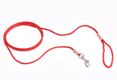 Vista 254 de Alvalley Correa para perros estilo broche – Correa de nailon estilo broche para perros – Fácil de manejar – Perfecto para perros pequeños, medianos
