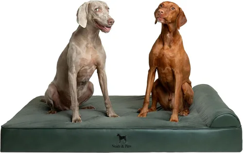 Vista 9 de NOAH & PAW Cama pequeña para perros, 20 x 15 x 6.5 pulgadas, cama para gatos de interior, espuma viscoelástica ortopédica de cáscara de huevo Verde
