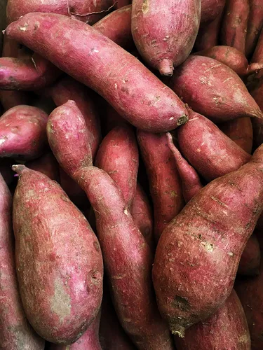 Vista 4 de Kejora Patatas dulces blancas japonesas - 4 LBS