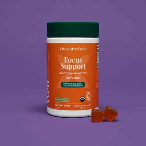 Vista 8 de Charlotte's Web Focus Support - Gomitas de hongos para concentración y energía con melena de león, apoyo cognitivo natural, gomitas de melena