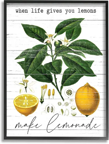 Vista 8 de Stupell Industries Life Gives Lemons Quote Country Fruit Anatomy, diseño de arte de pared enmarcado en gris con letras y líneas, 11 x 14, blanco