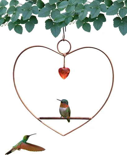 Vista 8 de Songbird Essentials Tweet Columpio Corazón Colibrí - Negro - Clavija de Madera