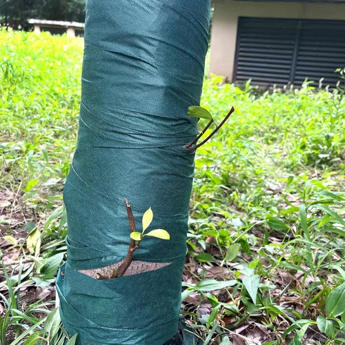 Vista 6 de Envolturas protectoras de árboles más grandes de 4.7 x 300 pies, protector verde anticongelante para tronco de árbol de invierno, cubierta