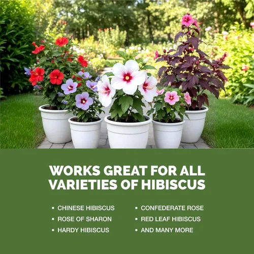 Vista 5 de Fertilizante de hibisco: alimento líquido para plantas para más flores, color vibrante y crecimiento tropical saludable, 8 onzas