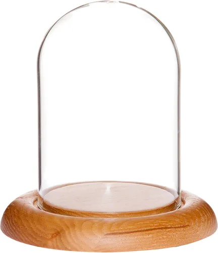 Vista 7 de Plymor campana protectora de cristal para exhibición, de 3 x 4 pulgadas, abovedada