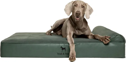 Vista 37 de NOAH & PAW Cama pequeña para perros, 20 x 15 x 6.5 pulgadas, cama para gatos de interior, espuma viscoelástica ortopédica de cáscara de huevo Verde