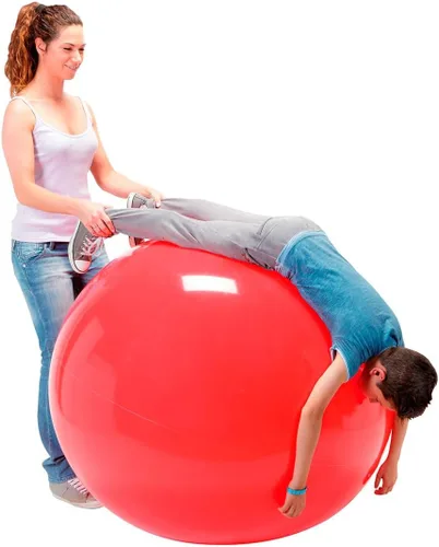 Vista 3 de Gymnic Physio Exercise Ball