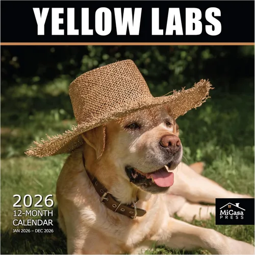 Vista 33 de MICASA PRESS Calendario de pared de Australian Shepherds Aussies 2027 02 - Pastores australianos