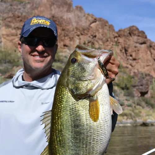 Vista 5 de Acme Kastmaster - Señuelo de pesca martillado dorado, 1 onza