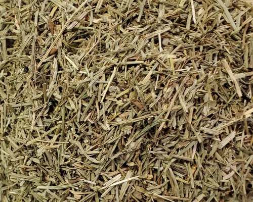Vista 2 de Hierba de cola de caballo a granel bolsa de 1 libra cortada y tamizada para té - Shavegrass-Snake Grass aka Living Fossil