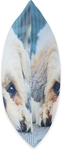 Vista 2 de Shih-Tzu - Almohada decorativa para mujer, diseño de cachorros de Shih tzu