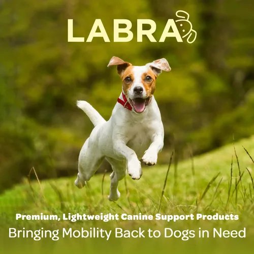 Vista 5 de Labra Vendaje de Compresión para Articulación del Corvejón de Pata Trasera de Perro - Soporte Ortopédico para Patas Traseras Débiles, Desgarro