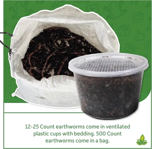 Vista 4 de Josh's Frogs Nightcrawlers/Earthworms - 'Lumbricus terrestris' (8 oz)