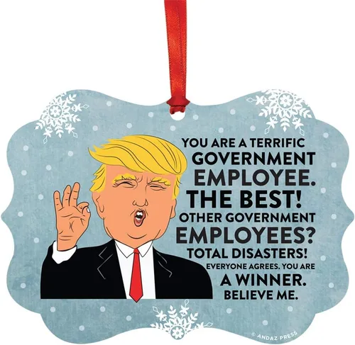 Vista 106 de Andaz Press Presidente Donald Trump Fancy Frame Recuerdo Adorno de Navidad Regalo de broma Ejecutivo de Cuenta, 1 paquete, Divertidas Ideas