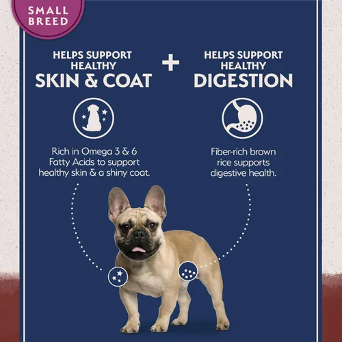 Vista 3 de Natural Balance Alimento seco para perros adultos de raza pequeña con ingredientes limitados, granos saludables, carne de res y arroz integral, 4