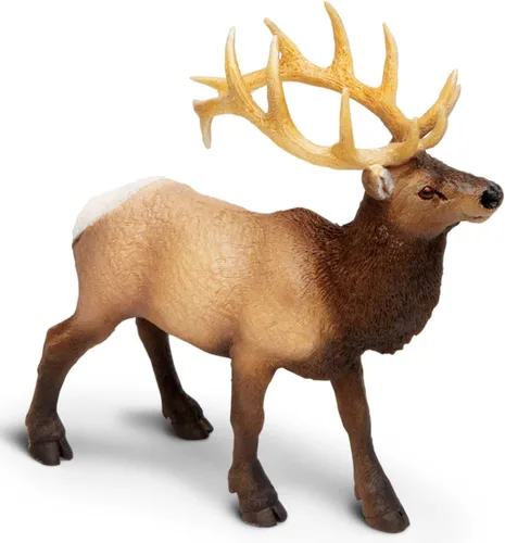 Vista 7 de Safari Ltd. Figura de toro de alce – Figura detallada de modelo de plástico de 4.75 pulgadas – Divertido juguete educativo para niños, niñas y niños