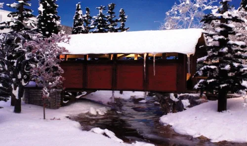 Vista 3 de Nieve 3.6 pulgadas cúbicas