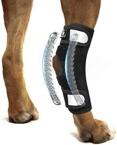 Vista 10 de Tobillera de Hock de pierna trasera para perro