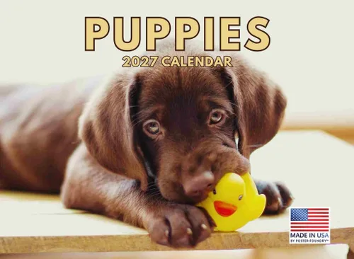 Vista 59 de Calendario mensual de pared Airedale Terrier Dog 2027
