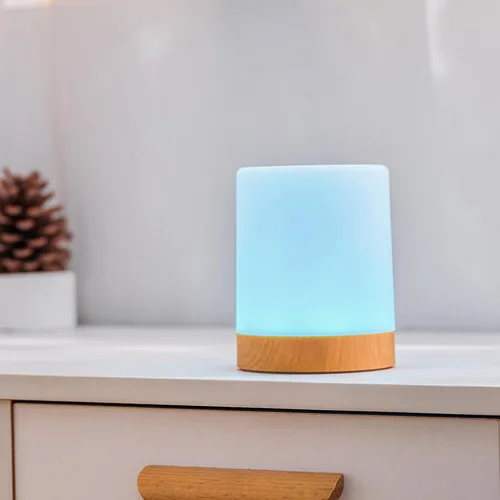 Vista 5 de Globe Electric Lámpara táctil portátil multicolor recargable integrada LED con cable USB incluido
