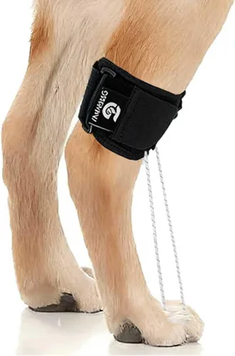 Vista 7 de Soporte de pierna trasera para perro