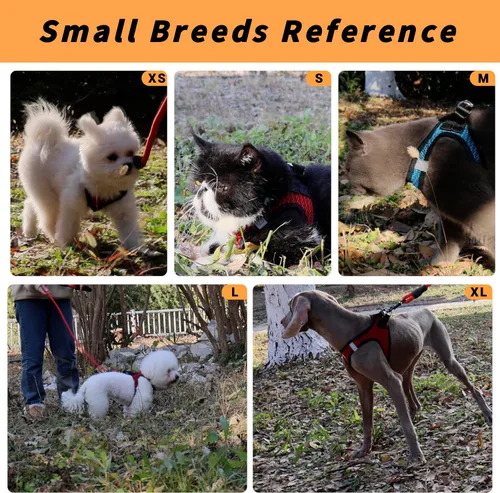 Vista 5 de Juego de arnés y correa para perro, arnés reflectante ajustable sin tirones con malla de aire acolchada para perros y gatos pequeños y medianos