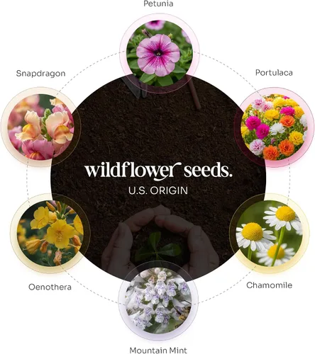 Vista 7 de Juego de 12 hojas de semillas de mariposa rosadas, flores silvestres para escribir y plantar con sobres y guías de plantación, regalo para madres