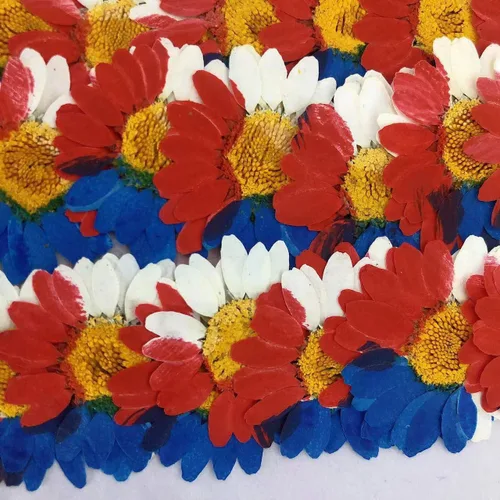 Vista 6 de YouthBro - Juego de 60 flores secas blancas prensadas con margaritas – Juego de 60 flores naturales reales para resina, bricolaje, joyas, velas
