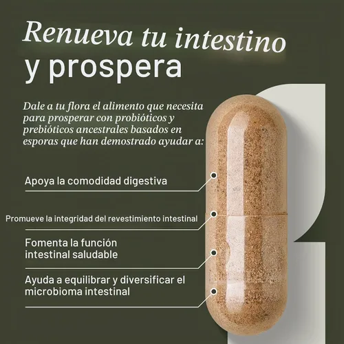 Vista 4 de Enviromedica Terraflora Advanced Care SBO Probiotic + Suplemento prebiótico – un sinbiótico de esporas de bacilo estable a base de suelo