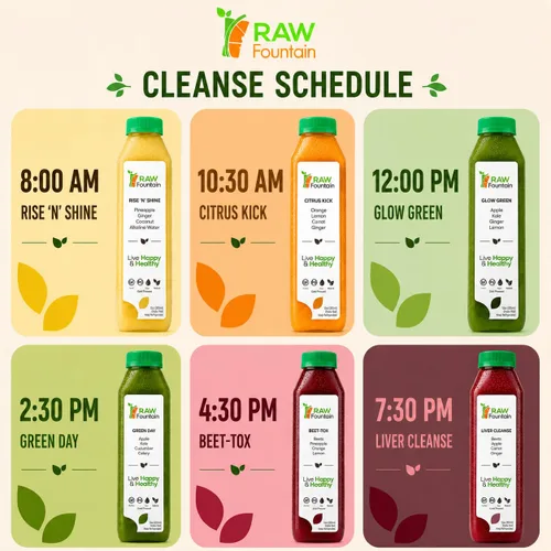 Vista 4 de Limpieza de jugo de 1 día de Raw Fountain, Limpieza de desintoxicación cruda 100% natural, Jugo para reiniciar el cuerpo, Jugo prensado en frío