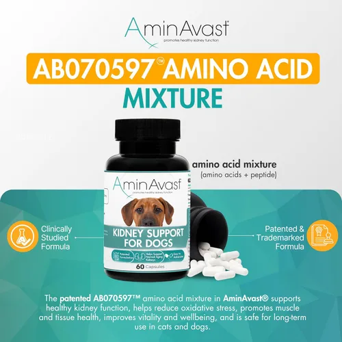 Vista 3 de AminAvast Suplemento de riñón para perros - Apoya la función renal natural - Promueve la salud y la vitalidad del envejecimiento de los riñones