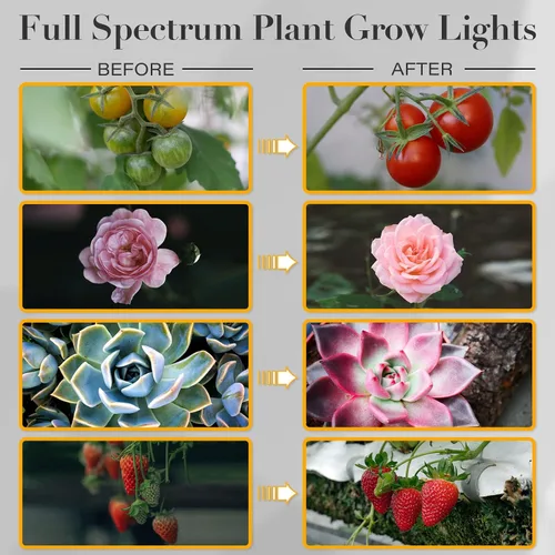 Vista 6 de iPower Tiras de Luz LED de Cultivo de Espectro Completo para Plantas de Interior con Temporizador de Encendido y Apagado Automático de 4/8/12H, 5