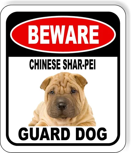 Vista 119 de BEWARE BASSETT HOUND GUARD DOG - Letrero compuesto de aluminio para exteriores, 8.5 x 10 pulgadas CUIDADO BASSETT HOUND GUARD PERRO
