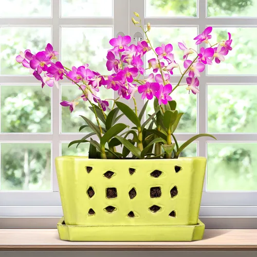 Vista 7 de Teenyyou 9.5" Orchid Pot Ceramic with Hole Saucer for Repotting, White Blanco