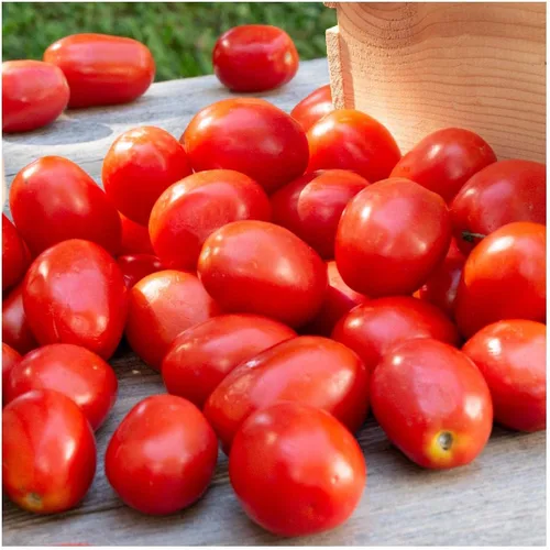 Vista 2 de Everwilde Farms - Semillas de tomate Roma de 1 onza - Gold Vault