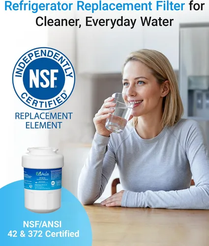 Vista 9 de Filtro de agua EcoAqua EFF-6013A, sustituto del GE MWF, compatible también con Amana