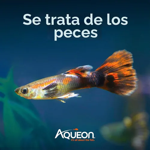 Vista 11 de Filtro interno Aqueon QuietFlow con tecnología SmartClean, extra pequeño
