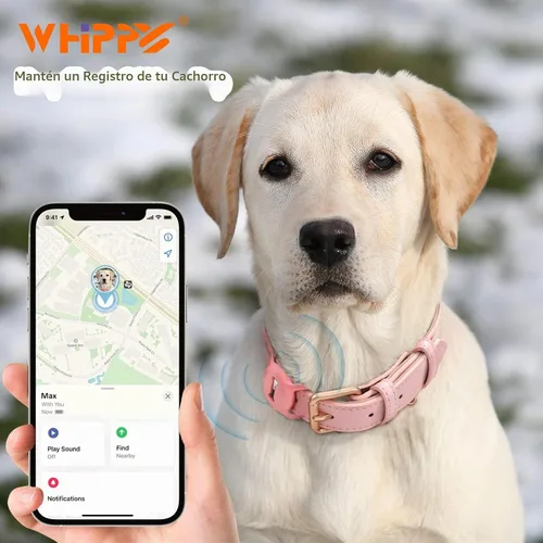 Vista 2 de WHIPPY Airtag - Collar de piel para perro, rastreador GPS, collar de cachorro ajustable de cuero suave acolchado con funda para Airtag para mochila