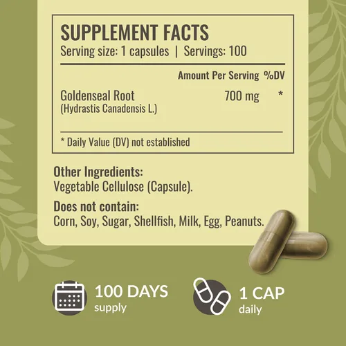 Vista 3 de HERBAMAMA Goldenseal - Cápsulas de raíz de 700 mg - Sistema respiratorio y apoyo inmunológico con suplemento en polvo de sello dorado, vegano, sin