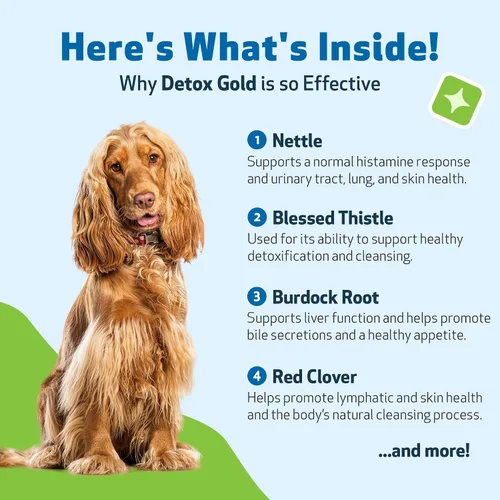 Vista 6 de Pet Wellbeing Detox Gold para perros - Suave apoyo de desintoxicación y eliminación, cuidado del sistema inmunológico, ortiga, cardo bendito, raíz