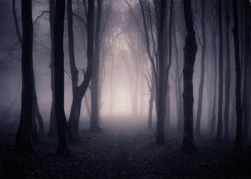 Vista 6 de Fondo de fotografía embrujado, fantasma, bosque brumoso, accesorios de estudio para cabina de fotos, vampiro aterrador de noches, fondo