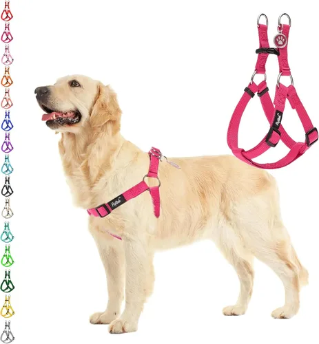 Vista 10 de Pupteck - Arnés para perros sin jalar, suave, ajustable, de nailon, talla básica, chaleco para cachorro, para caminar al aire libre con etiqueta