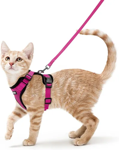 Vista 28 de rabbitgoo Cat Harness and Leash Set, Escape Proof Vest, XXS, Berry Pounce Soft Breathable Mesh, No-choke Adjustable Fit, Snap Buckles, Sturdy