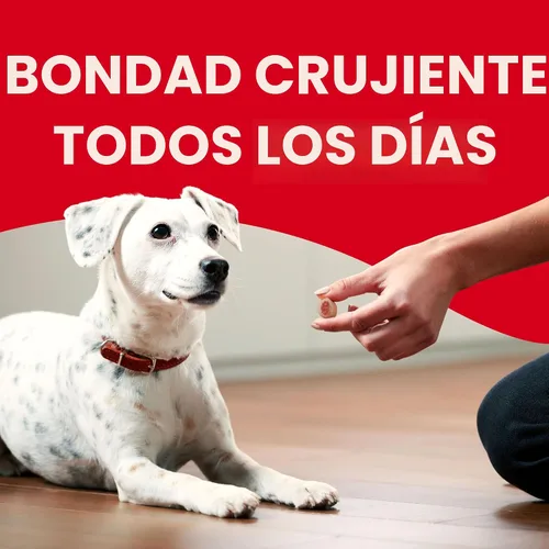 Vista 4 de Milk-Bone MaroSnacks Golosinas para perros pequeños con sabor a tocino con médula ósea, 40 onzas (paquete de 2) (el diseño del empaque puede variar)