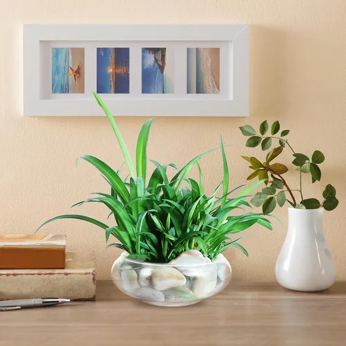 Vista 9 de Happyyami Jarrón de vidrio para peces de cristal, cuenco transparente de boca ancha, jarrón redondo, terrario, planta de aire, maceta hidropónica