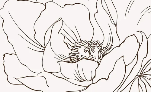Vista 3 de Papel pintado floral Amapola flor dibujo mural de pared (ESTILO 1)