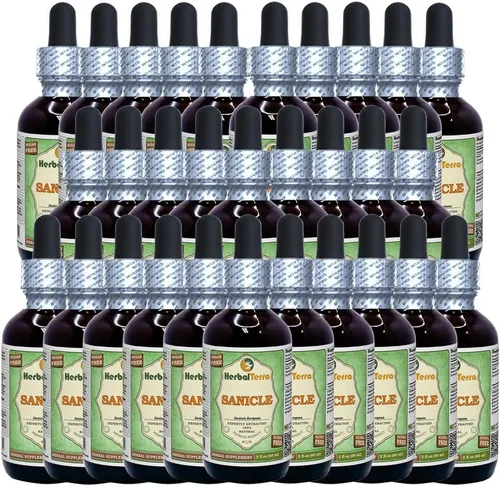 Vista 5 de Herbal Terra Sanicle (Sanicula Europaea) Glicerita, extracto líquido sin alcohol de hierbas secas 2 oz