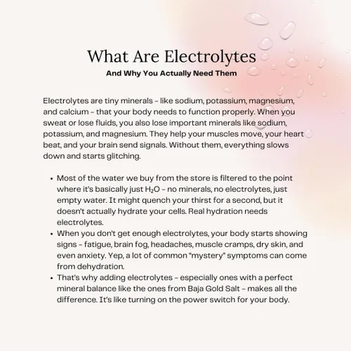 Vista 8 de Polvo de electrolitos – Cero azúcar, bajo en sodio, Keto, para labios secos agrietados, hecho con sal Baja Gold, sabor natural, 45 porciones